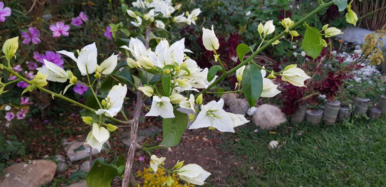 Vale Das Maritacas Teresopolis 빌라 외부 사진