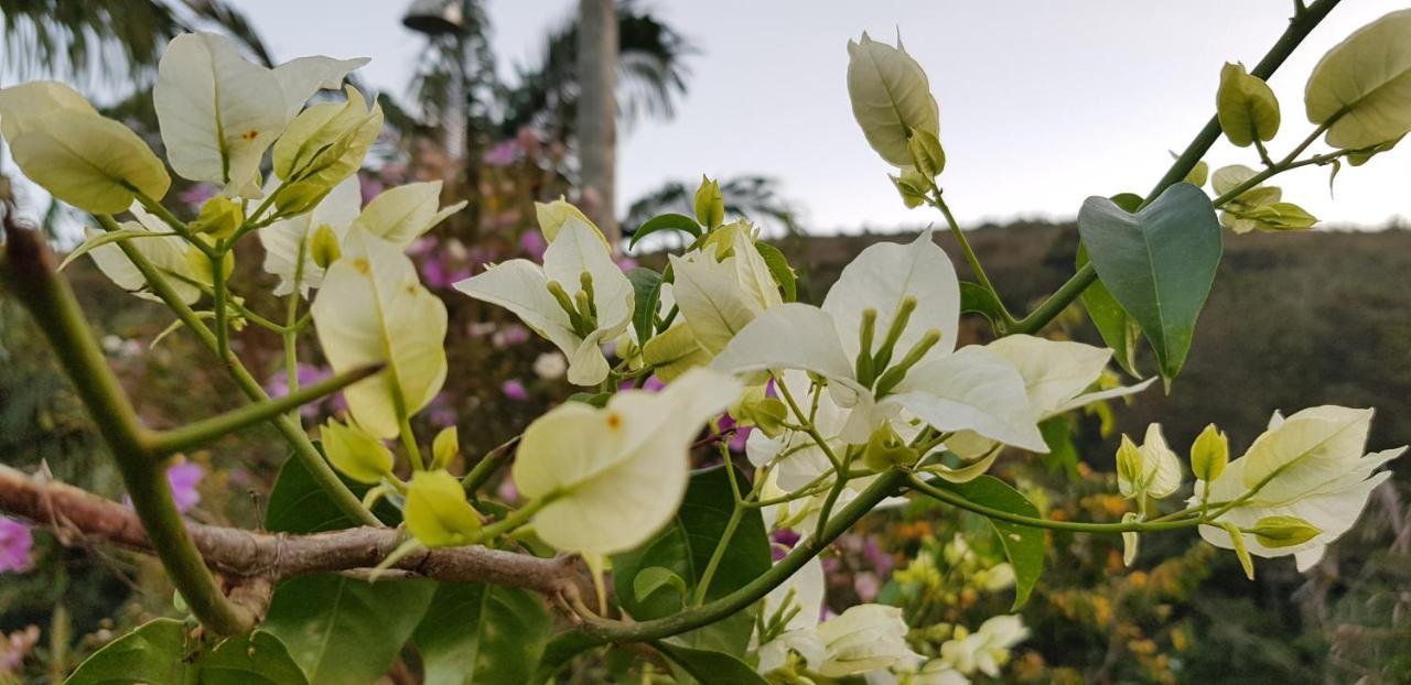 Vale Das Maritacas Teresopolis 빌라 외부 사진