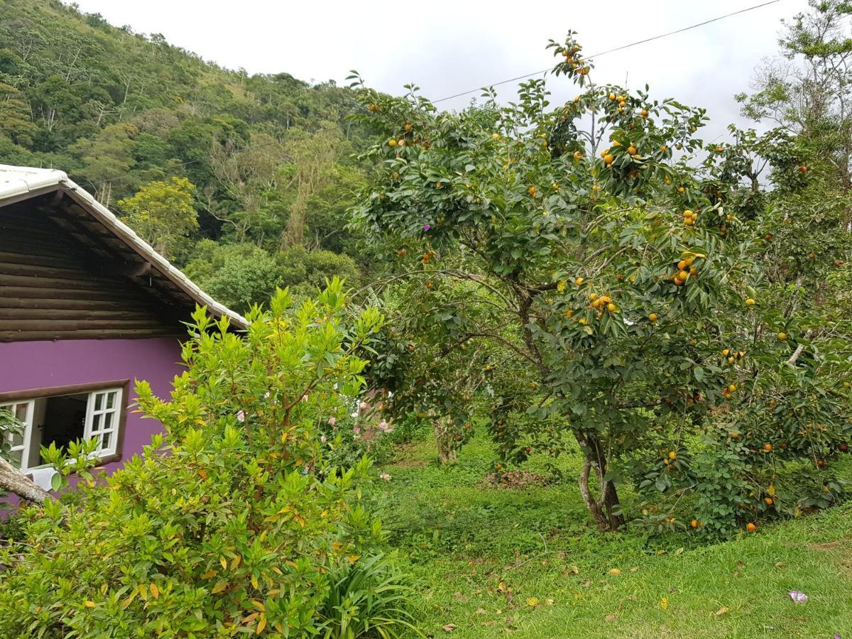 Vale Das Maritacas Teresopolis 빌라 외부 사진
